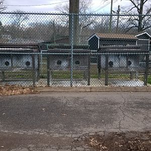 Johnson Park Jan 21 - Empty (?) hutches
