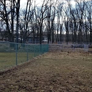 Johnson Park Jan 21 - Whitetail