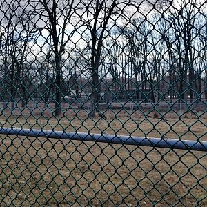 Johnson Park Jan 21 - Whitetail