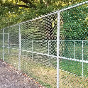 Thompson Park - Deer yard #1