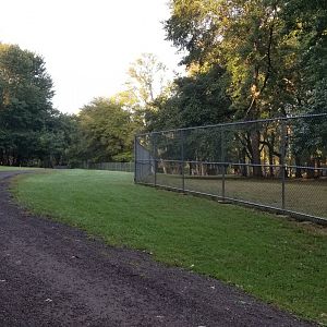 Thompson Park - Path along Deer yard #1