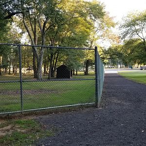 Thompson Park - Deer yard #1, looking back to parking