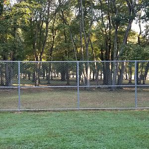 Thompson Park - Deer yard #1