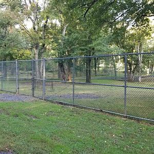 Thompson Park - Deer yard #1