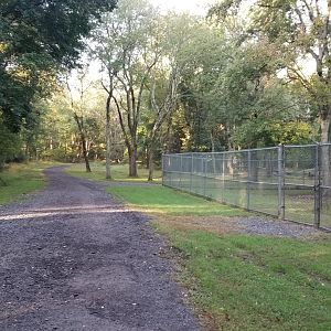 Thompson Park - Deer yard #1 corner