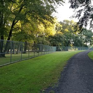 Thompson Park - Deer yard #1, looking back at path