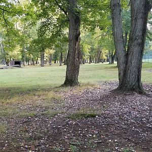 Thompson Park - Deer yard #1