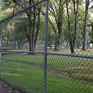 Thompson Park - Fence between two yards