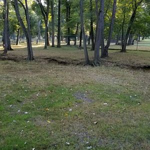 Thompson Park - Deer yard #2