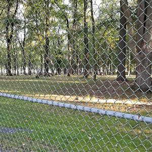 Thompson Park - Deer yard #2