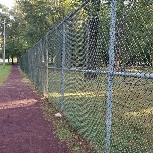 Thompson Park - Deer yard #2, path along road