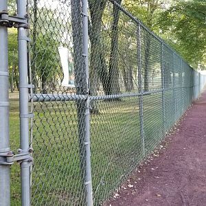 Thompson Park - Deer yard #2