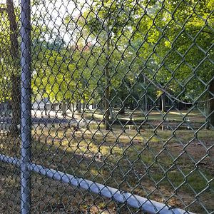 Thompson Park - Deer yard #2, pond