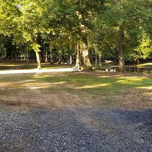 Thompson Park - Deer yard #2, pond