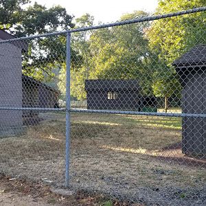 Thompson Park - Deer yard #2, buildings