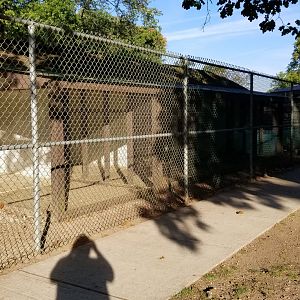 Thompson Park - Birds, empty end