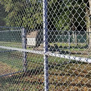 Thompson Park - Goats