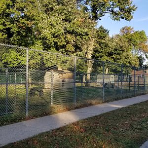 Thompson Park - Row along parking (emu, goats, peafowl, birds)