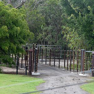 Elephant Enclosure Construction