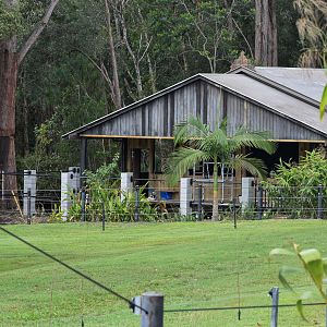 Elephant Cafe/Dining Area Construction