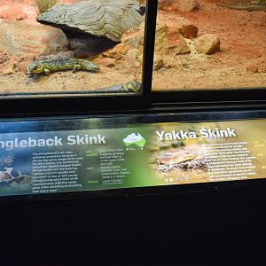 New Yakka Skink/Shingleback Signage