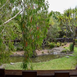 Croc Environmental Park - Freshwater Crocodile Enclosure
