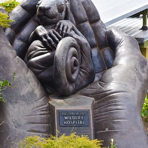 Wildlife Hospital Statue