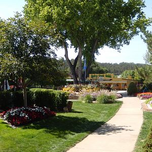 9/8/2021 - Looking Towards Spring Creek Gulch