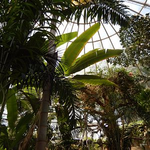 9/8/2021 - Walkthrough Jungle