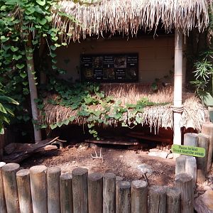 9/8/2021 - Turtle & Tortoise Exhibit