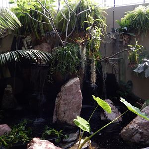 9/8/2021 - Turtle Exhibit