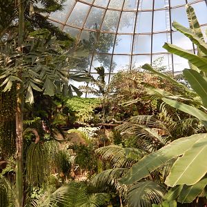 9/8/2021 - Jungle Dome