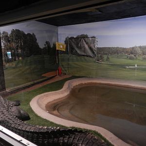 9/8/2021 - American Alligator Exhibit