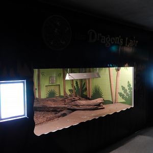 9/8/2021 - Komodo Dragon Exhibit