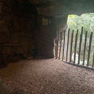 Lied Jungle- Former Indian Created Porcupine Exhibit