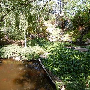9/8/2021 - Tortuga Falls General View