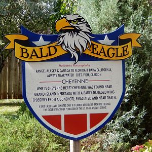 9/8/2021 - Cheyenne's Story