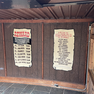 9/8/2021 - Impressive Set of Numbers