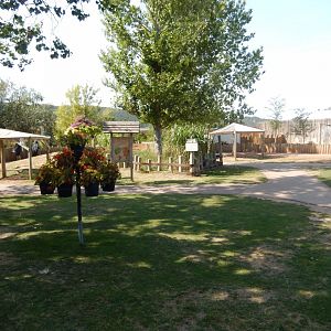 9/8/2021 - Giant Tortoise Walkthrough Exhibit