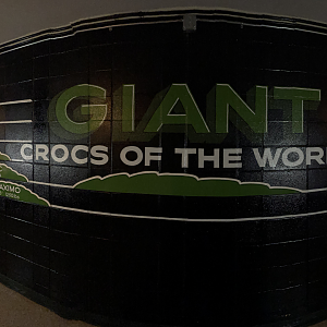 9/8/2021 - Record Holding Crocs!