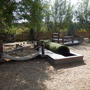 9/8/2021 - Methuselah's Playground