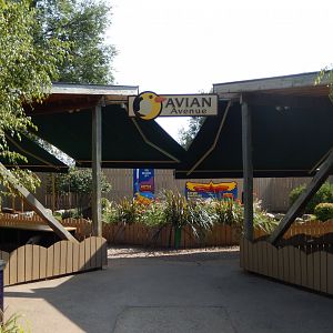 9/8/2021 - Avian Avenue