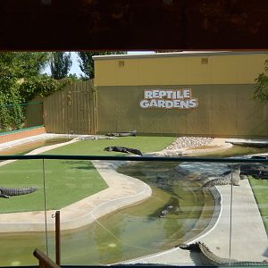 9/8/2021 - Gators & Crocs Arena