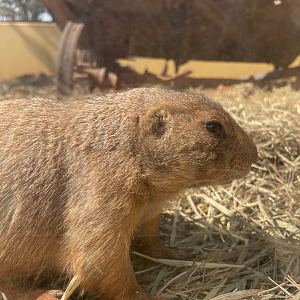 9/8/2021 - Eying Each Other Up