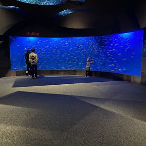 Scott Aquarium - Entrance Exhibit