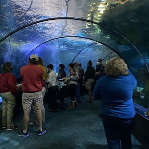 Scott Aquarium - Main Tank