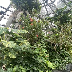 Butterfly & Insect Pavilion - Butterfly Walk-Through