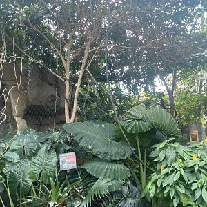 Butterfly & Insect Pavilion - Crested Wood Partridge/Blue Crowned Laughingthrush Exhibit
