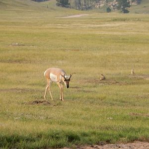 9/9/2021 - Just Passing Through Town...