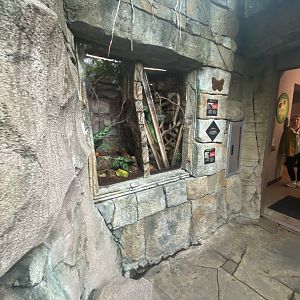 Butterfly & Insect Pavilion - White-Toe Tarantula/Jade-Headed Buffalo Beetle Terrarium